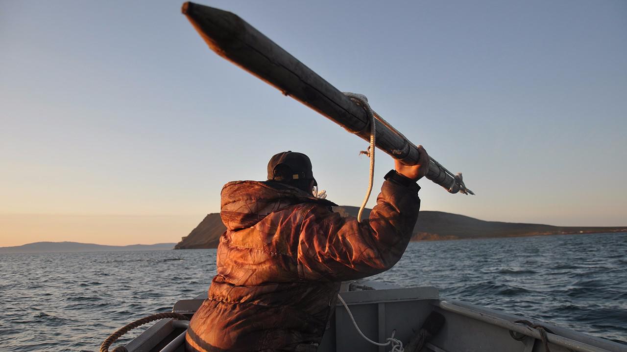 【哪国的农民最会赚钱?这里农民年收入超170万,干完活就环球旅行!