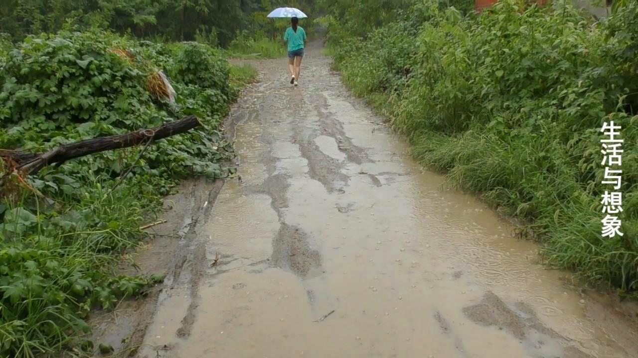 实拍阜阳农村下大雨无配音纯雨声农民的心声