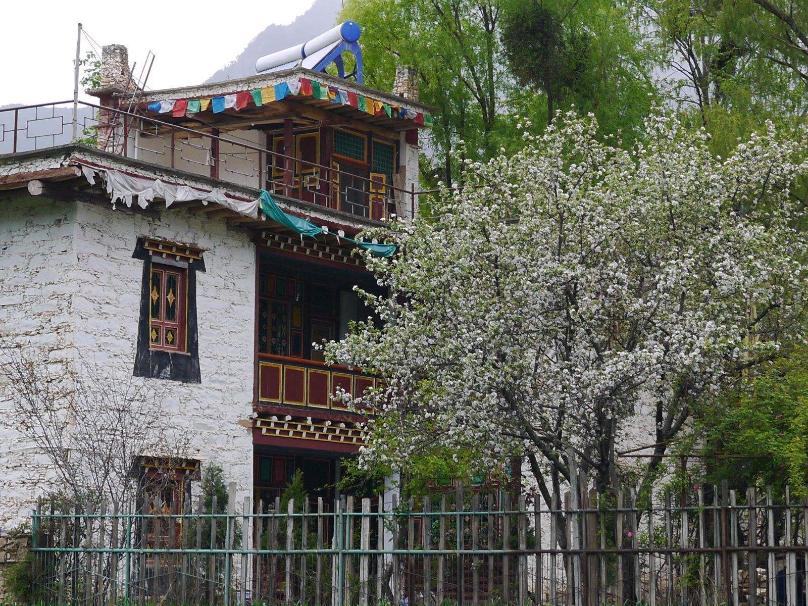 第一天:成都 ——卧龙——巴朗山——四姑娘山 双桥沟第二天:四姑娘山