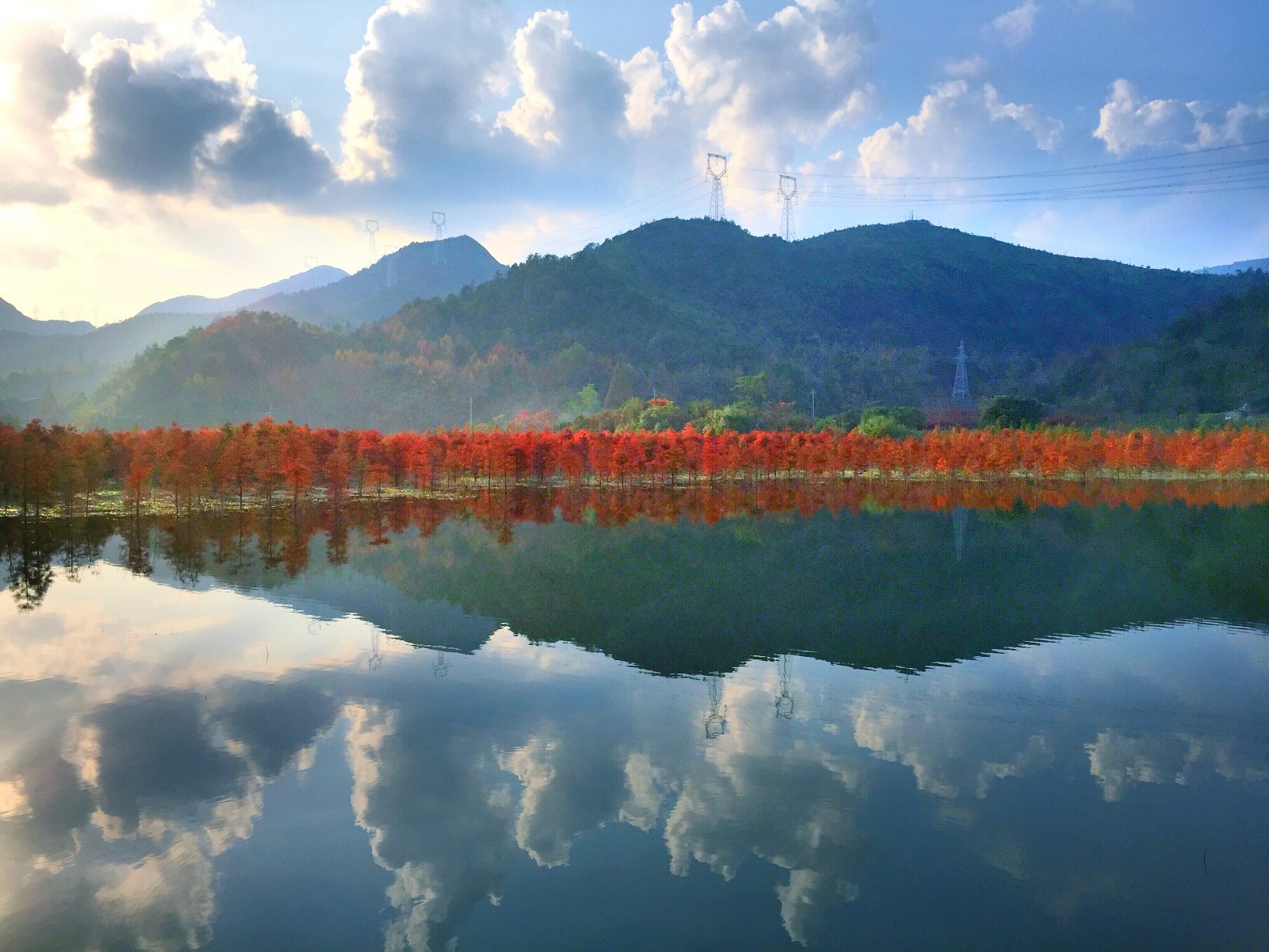 蓝天白云红水杉温岭太湖水库太美了(原创)