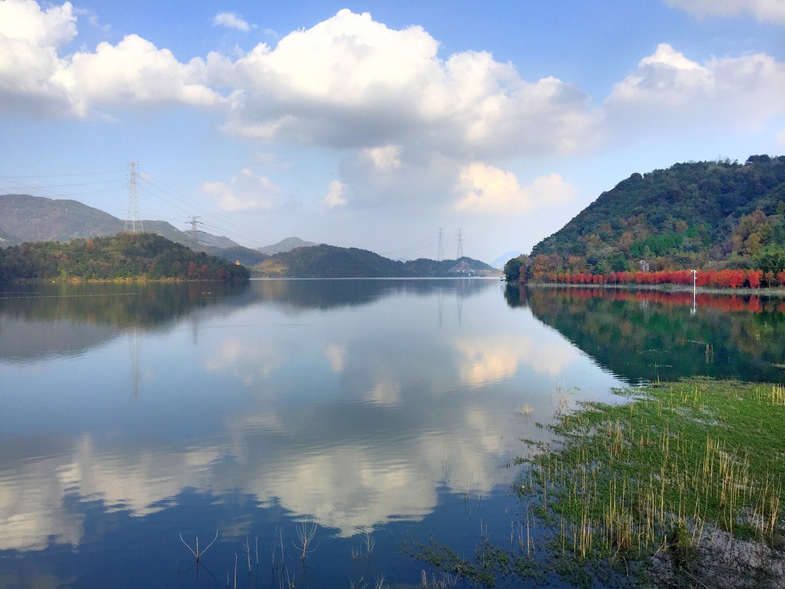 蓝天白云红水杉温岭太湖水库太美了(原创)