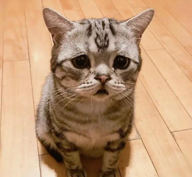 《战狼3》开拍, 演员名单出来了, 第四位我居然没见过?