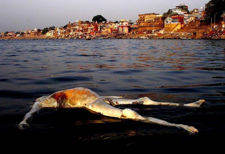 印度恒河水葬,让人受不了!|印度教|恒河|天堂_新浪新闻