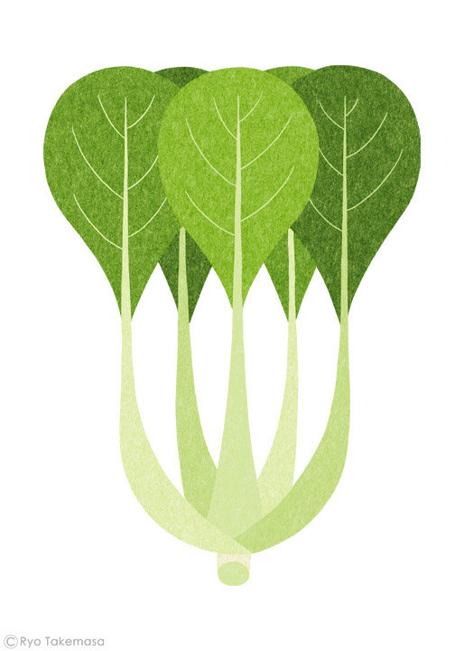 蔬菜水果插图设计欣赏_新浪看点