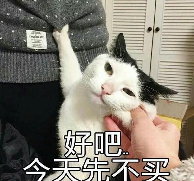 我要这个你给我买这个奢侈猫表情包的完整故事在这里