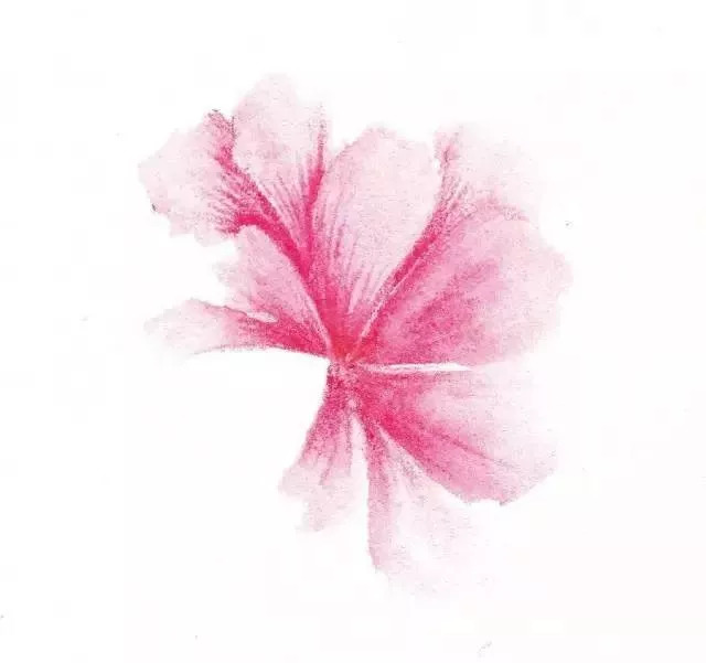 彩铅教程水溶退晕法如何运用