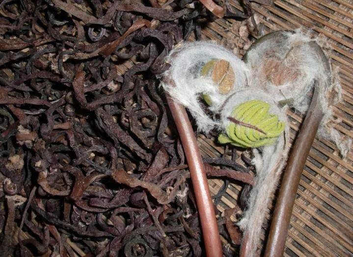 牛毛广还含有皂甙和黄酮类物质,具有润肺理气,补虚舒络,清热解毒的