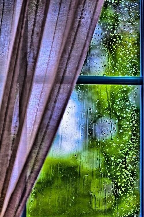秋雨敲窗