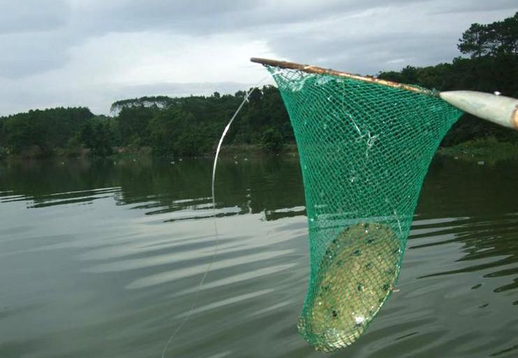 爸爸的捕鱼方法, 用矿泉水瓶布阵抓甲鱼