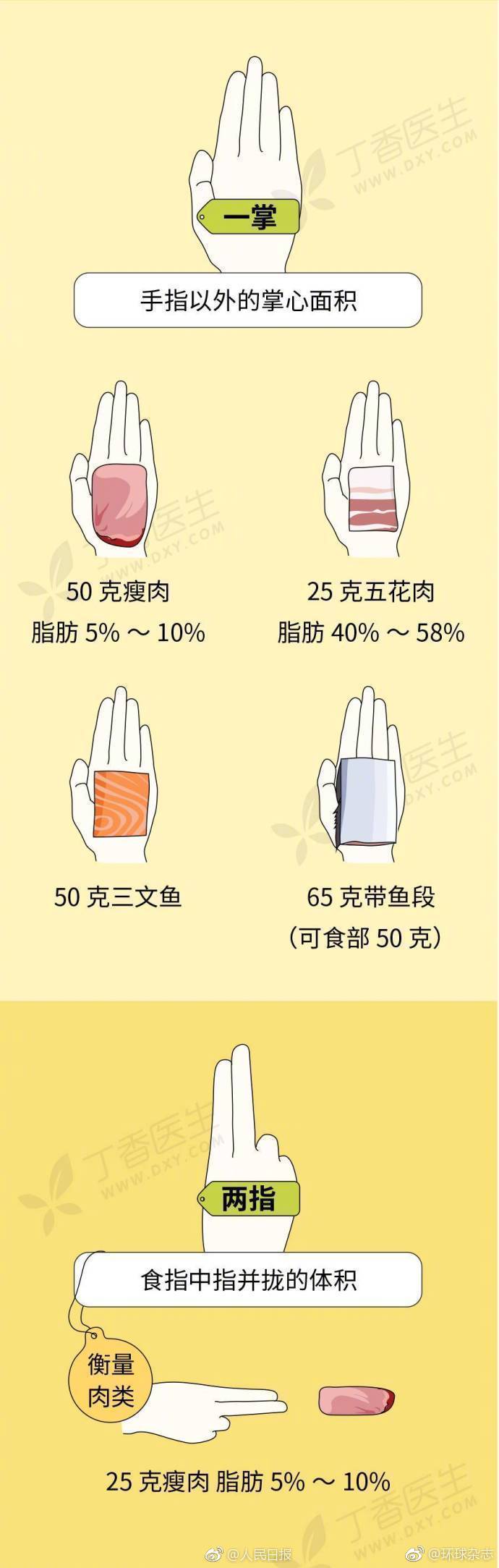 你的每日蔬菜量达标了吗?教你自测食物重量