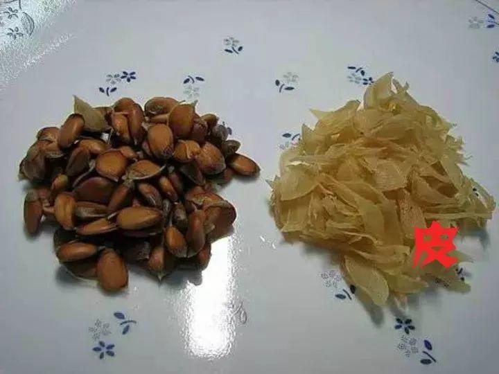 柚子籽可是宝,种在塑料盒里,半月长成小盆景!