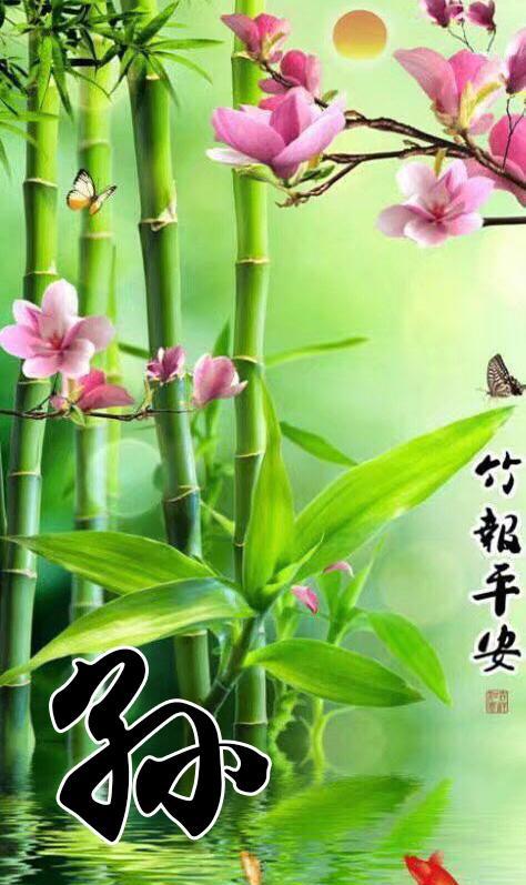清新护眼姓氏壁纸,竹报平安让你一生平安