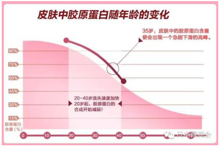 年纪增长,胶原蛋白流失速度不断升高,细胞之间的空隙缺少胶原蛋白的