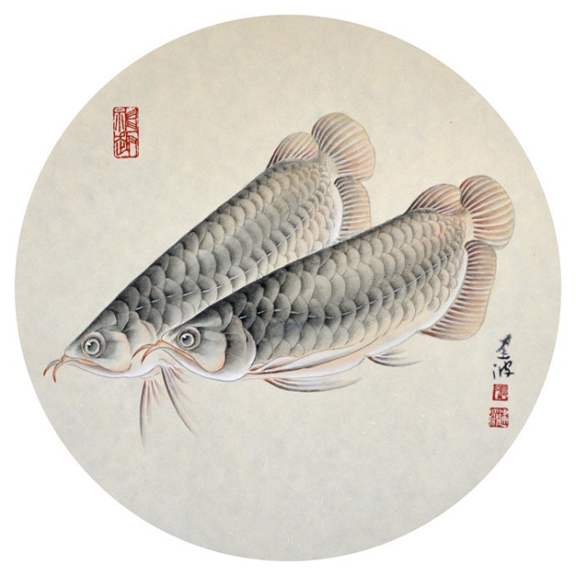 张建波工笔工笔画鱼儿