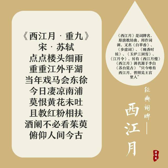 诗词盘点——西江月