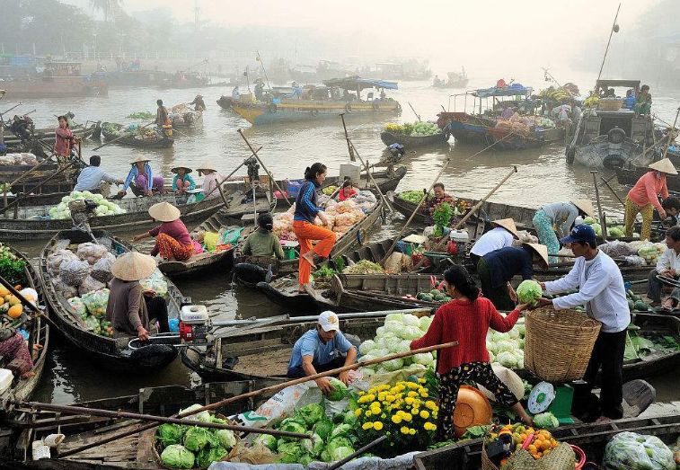 在越南水上市场,见到卖"生菜"的美女,最好远离,都是套路