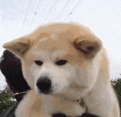 247_240gif 动态图 动图