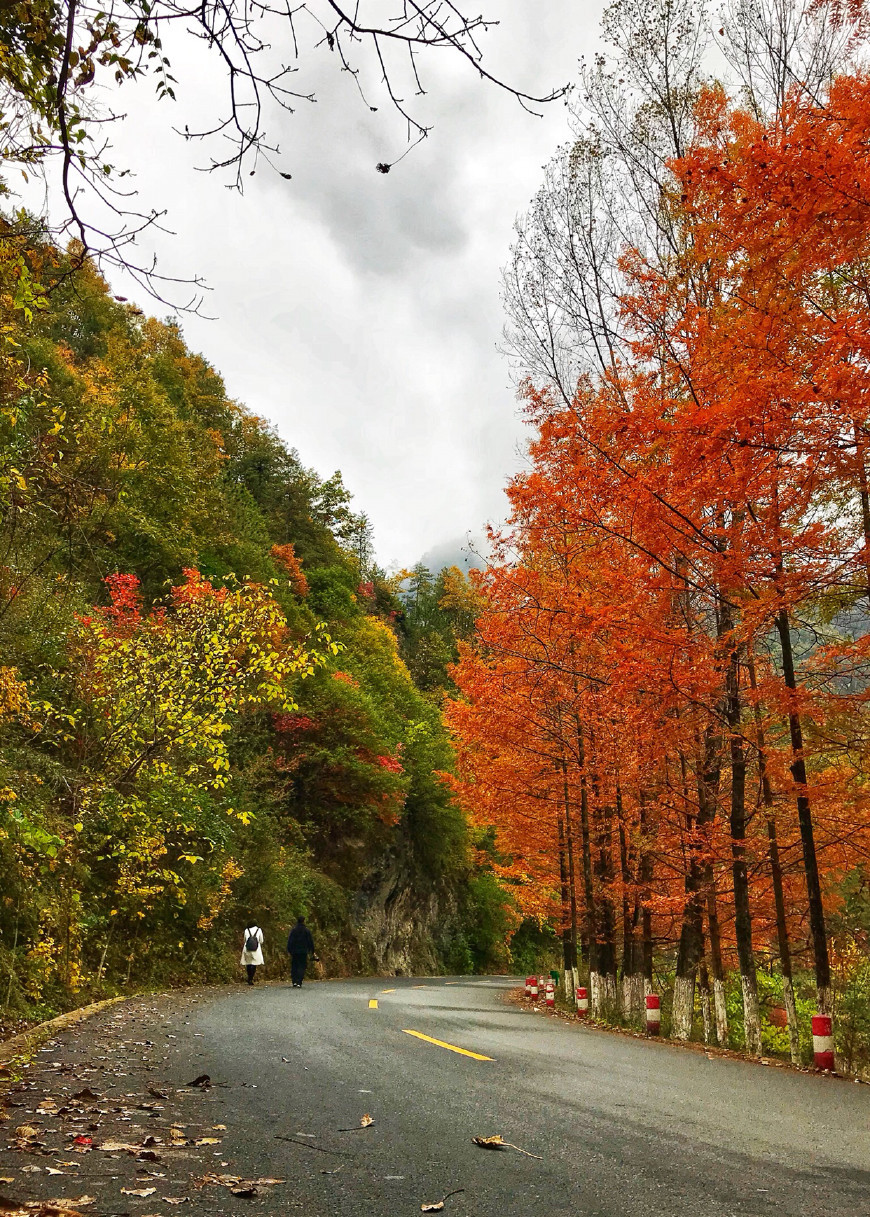 我在留坝,见过秋天最美的样子!