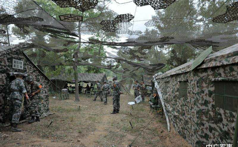 动网论坛的数据库迁移