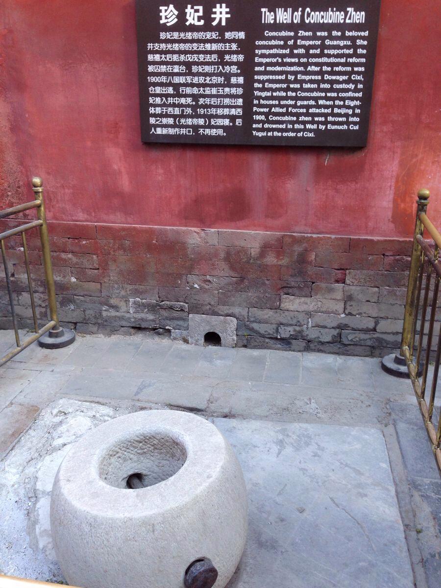 这女子与皇后争宠,与太后争权,下场很惨|瑾妃|珍妃|光绪帝_新浪网