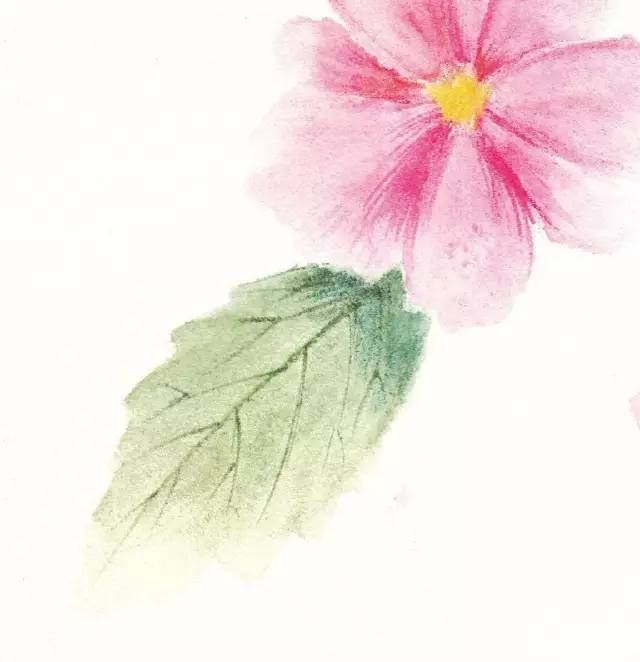 彩铅教程水溶退晕法如何运用