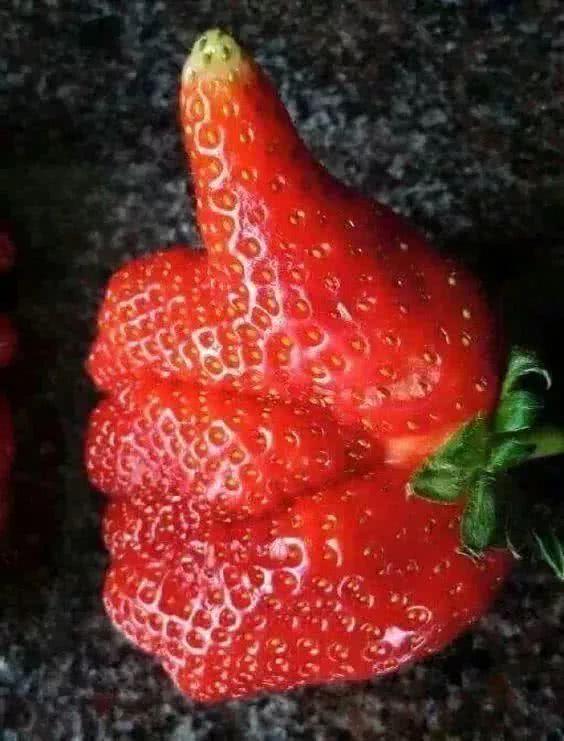 最"奇异"的水果,成精的西红柿,最后一个有人认识吗?