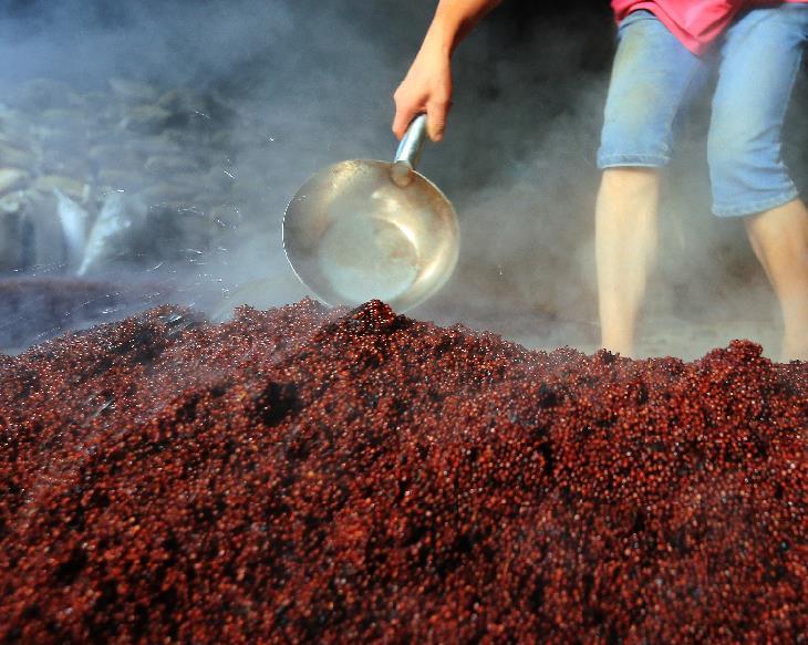 纯粮酿酒工艺:高粱酒技术步骤