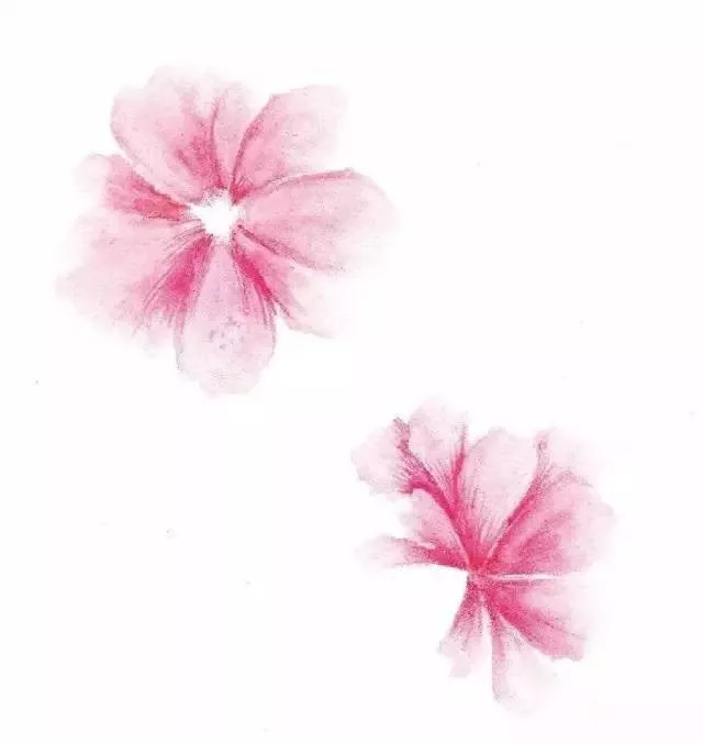 彩铅教程水溶退晕法如何运用