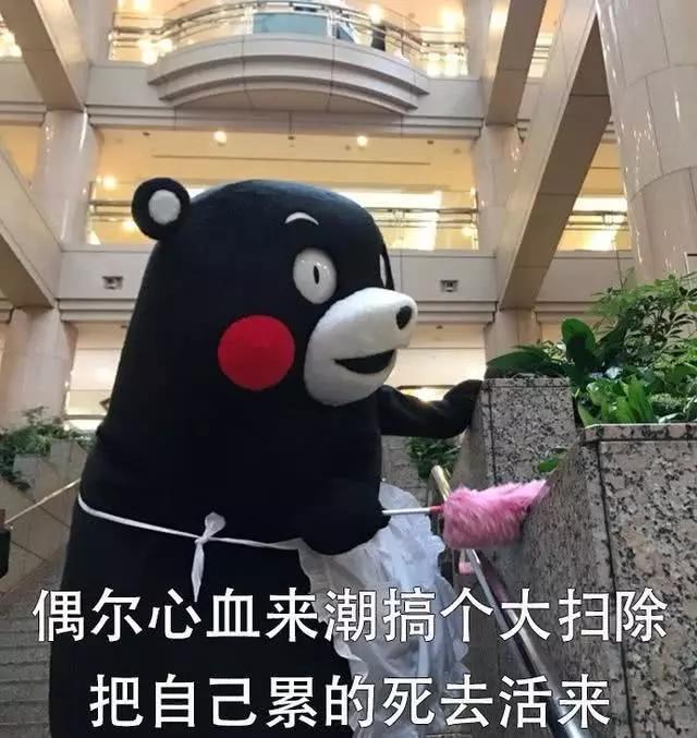 熊本熊表情包|据说世上有这么一种人