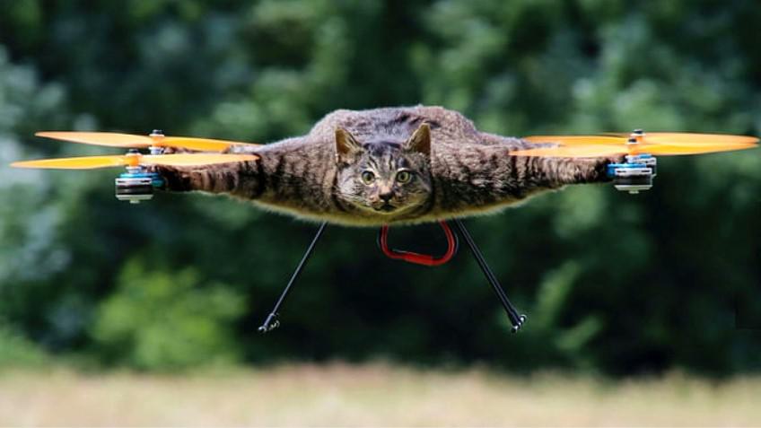 民间牛人自制神奇"草皮",臭水沟铺上它,42天就清澈见底