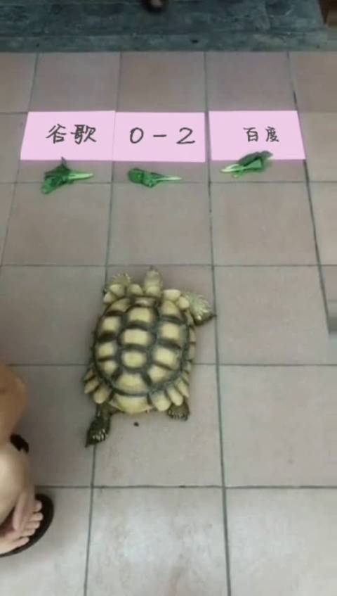 大气的百度创始人李彦宏通过人民日报欢迎再次