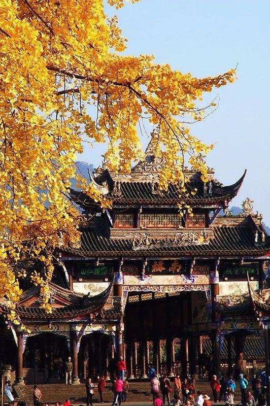 走累了我们就在 水心亭歇个脚 金秋艳阳 湖水倒映着秋叶 很是美丽