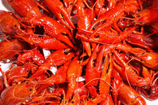 大批水库小龙虾逃到南山比手还大只路人疯抢