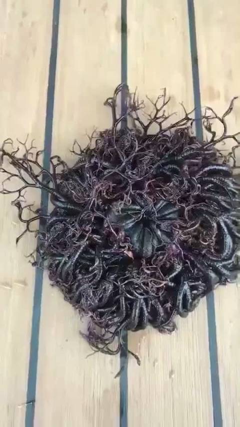 第一次见! 有人说是筐蛇尾,也有人说是海百合,有没有认识的 视频来自.