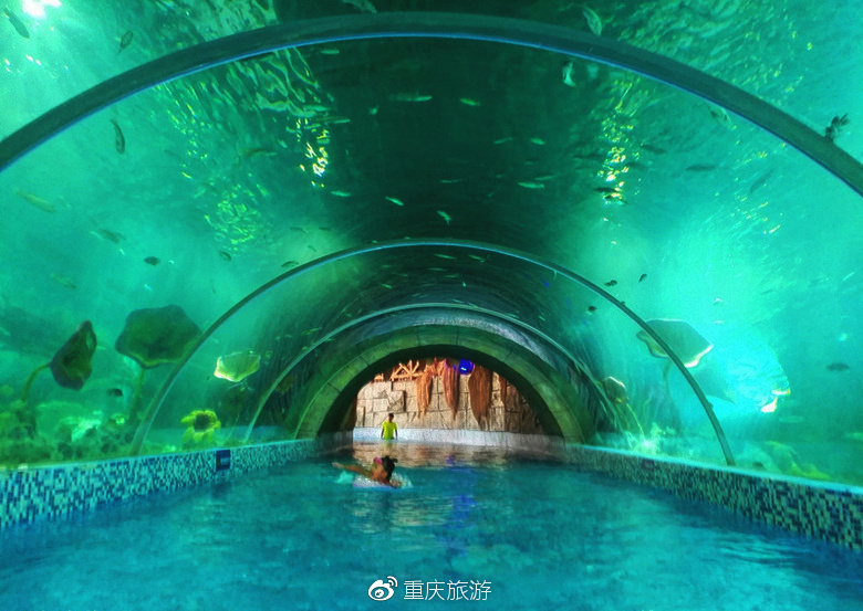既可以浮潜看海洋生物 又可以畅玩刺激水世界 这个地方就在重庆主城