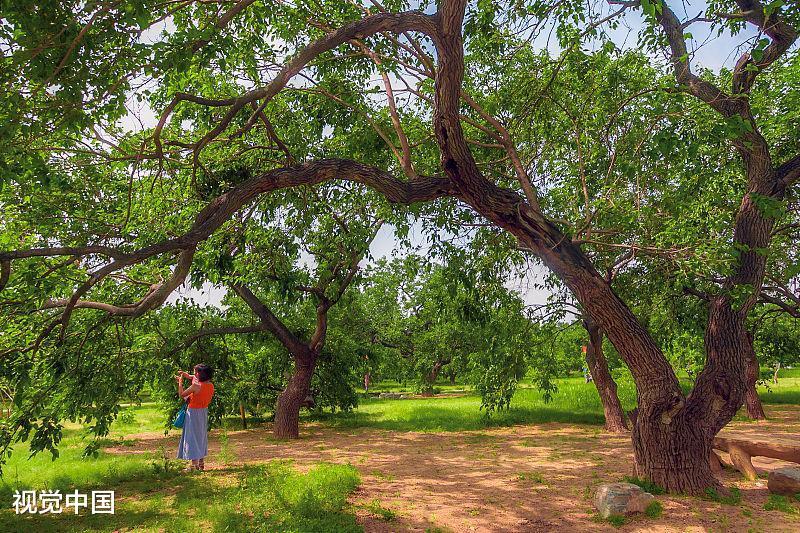 滨州移动圆满完成无棣千年古桑旅游文化节通信保障工作