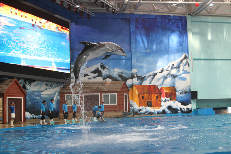 1,基本介绍:曲江海洋世界位于西安曲江新区,是国家4a级景区.