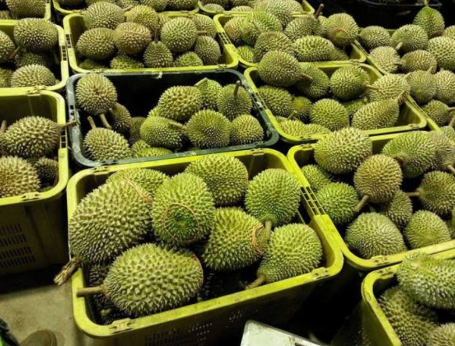 它才是水果之王,吃完果壳别丢,价值也很高,拿来煲汤非常美味