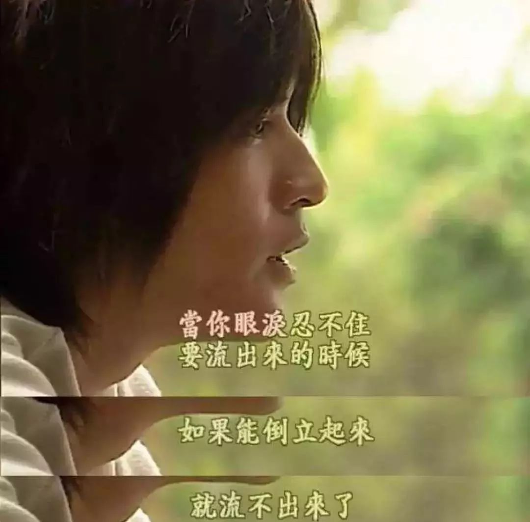 如果说男生热血童年是数码宝贝,那么女生的感情启蒙就是流星花园