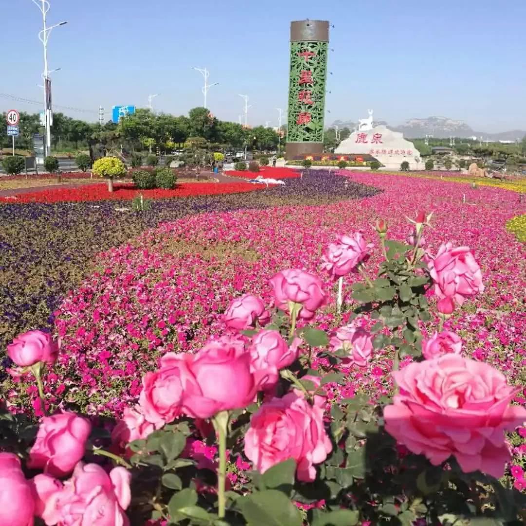 石家庄阳光保险电话 鹿泉阳光保险