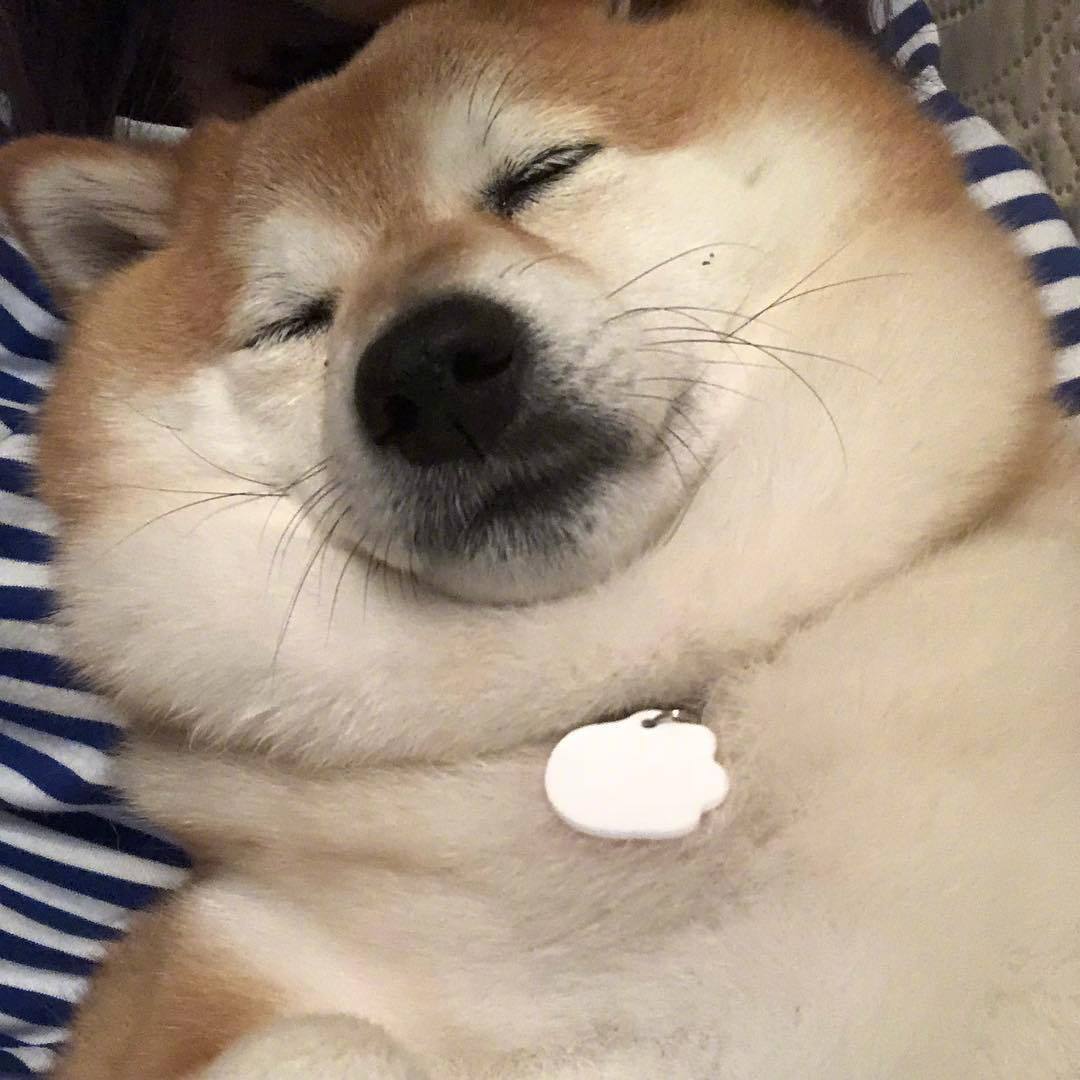 岛国的wabooe就算露出双下巴也要时刻保持围笑