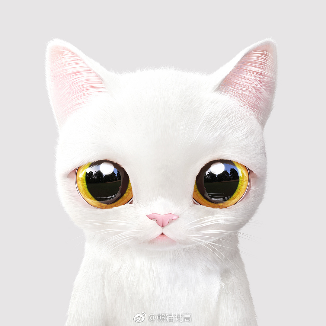 超级萌的猫咪大头照