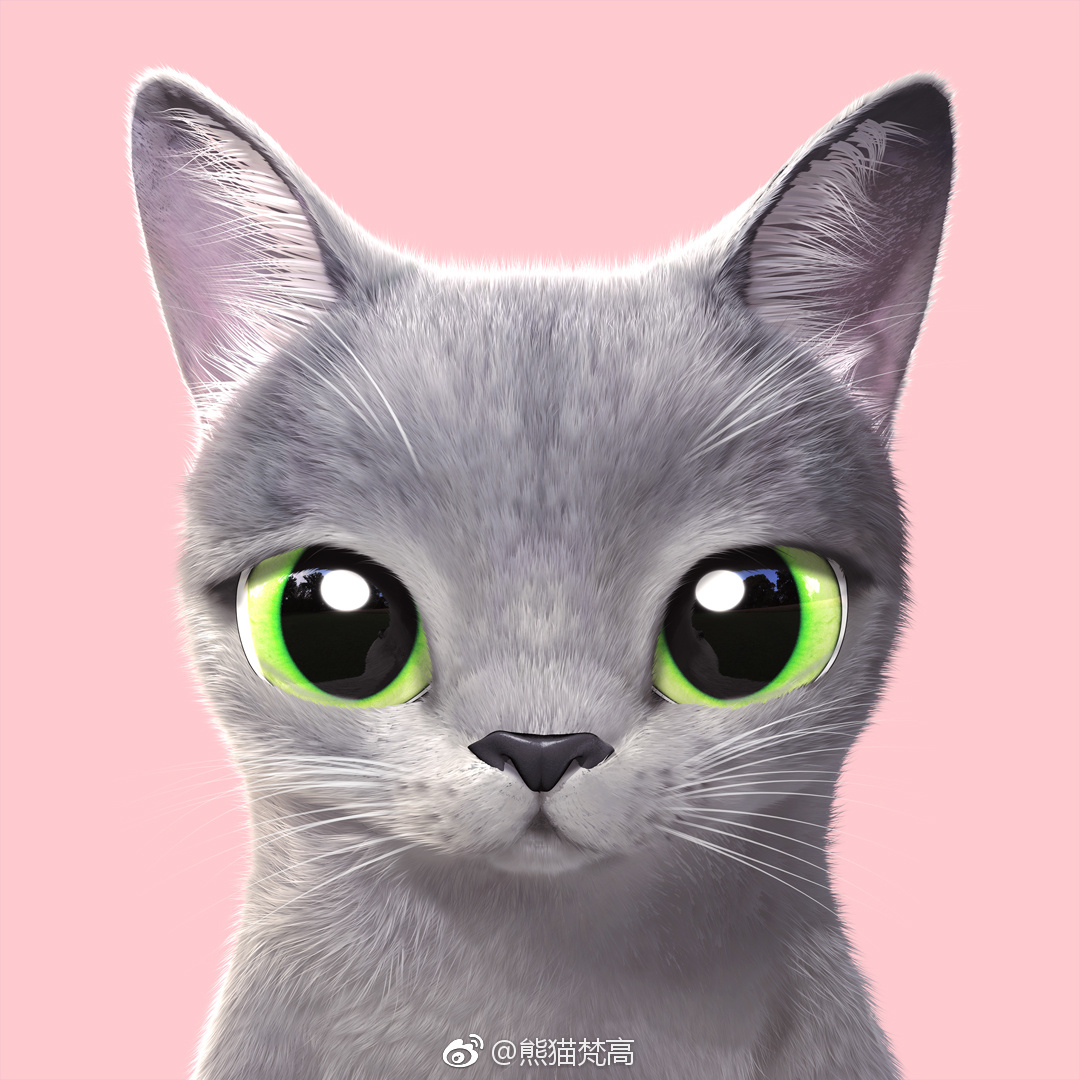 超级萌的猫咪大头照