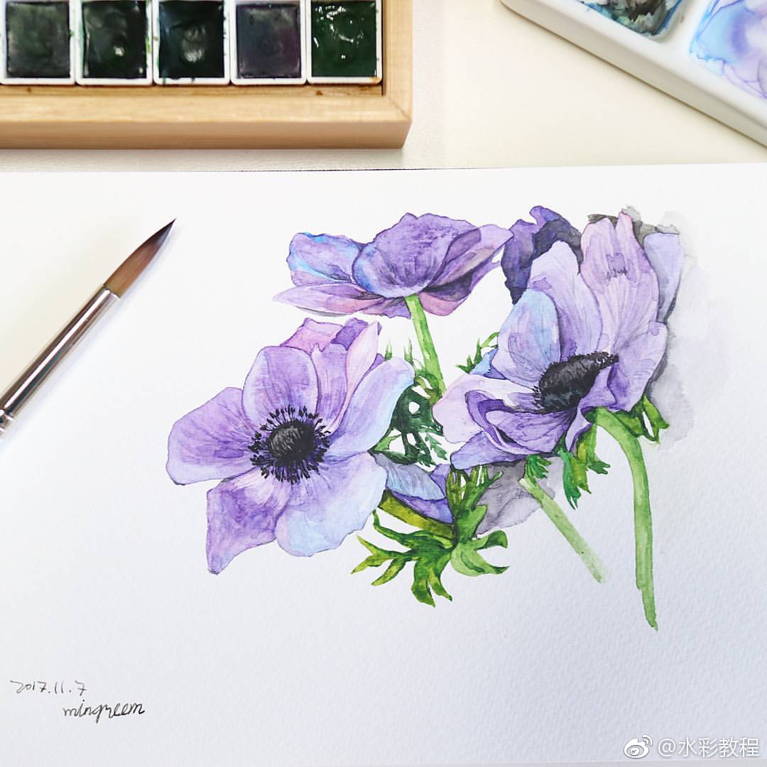 水彩花卉植物作品欣赏 by ins: iammingreem_新浪看点