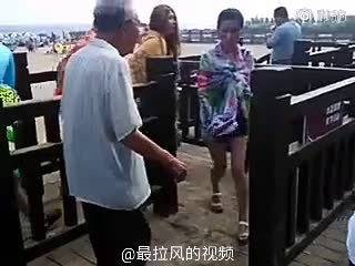 【动画短片】陶瓷般丝滑漂亮的猫猫一家,却不