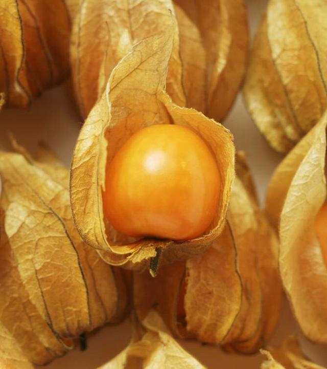 4,黄金莓:别名菇娘,小黄菇娘,俗称香泡泡.