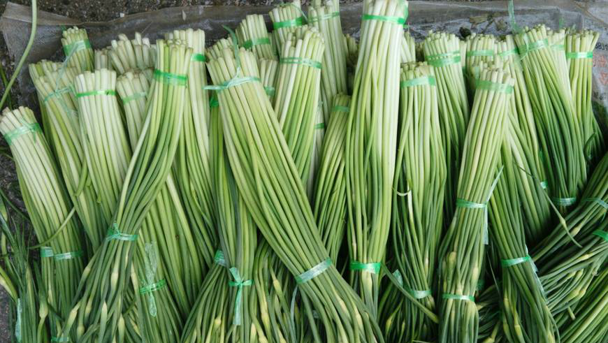 告别蒜苔炒肉的日子看看这些蒜苔新吃法绝对让你眼前一亮