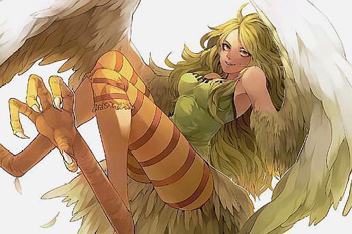 海贼王:5颗恶魔果实变出天使形态,四皇团得了2颗,草帽团有1颗