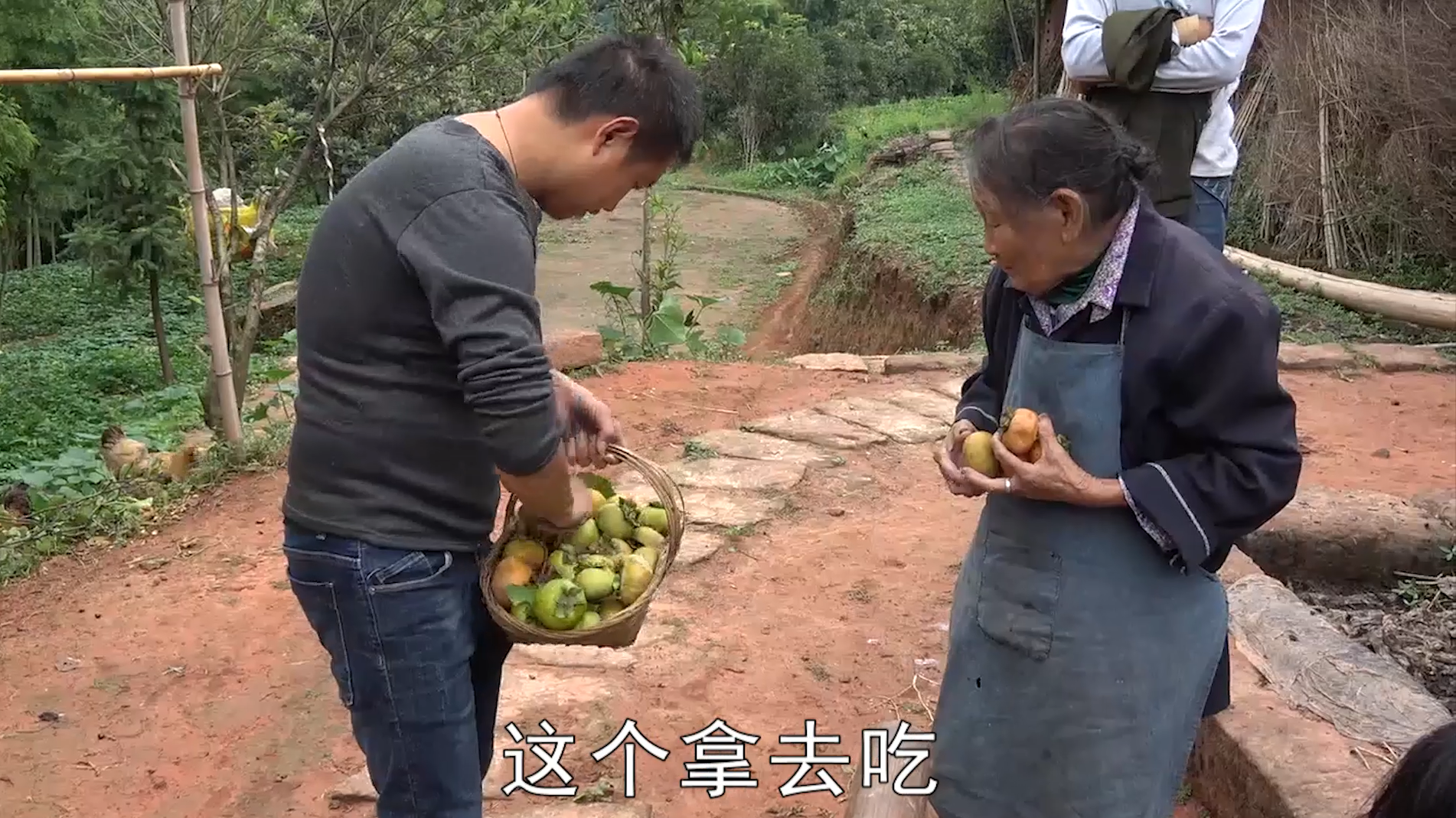 农村四哥:王四上山摘柿子,摘了满满的一筐,把最红的分给奶奶