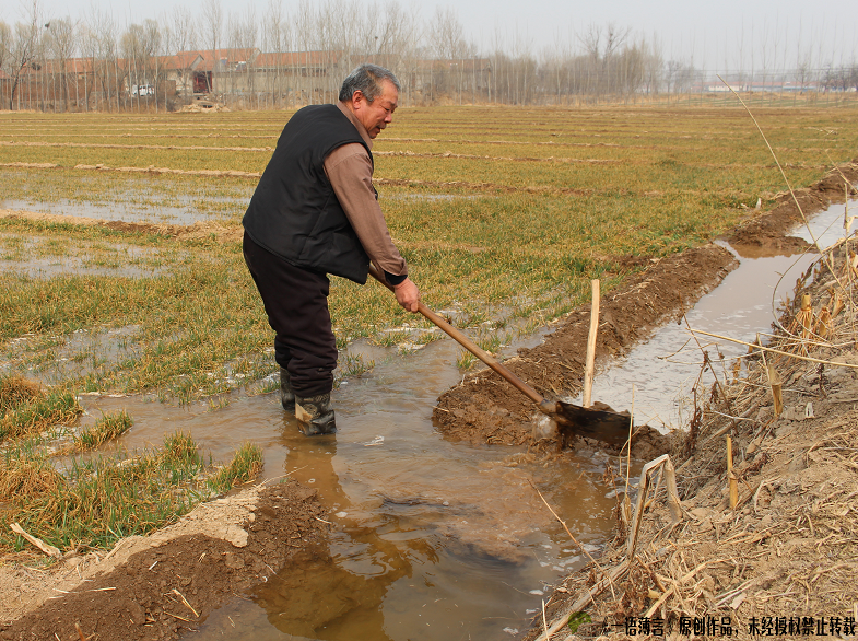 又到了一年一季的浇地时节,农民们开始忙碌起来